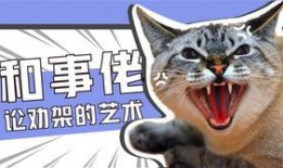 娱乐吃瓜君猫猫生日歌