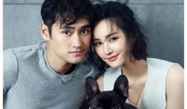 娱乐圈吃瓜爆料贾玲