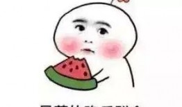 娱乐吃瓜君吐槽二豆