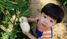 娱乐吃瓜酱关于童年,娱乐吃瓜酱带你重温那些年