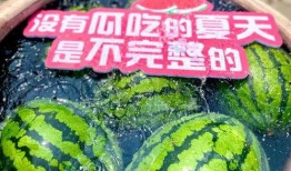 娱乐场所日常吃瓜,揭秘日常吃瓜背后的故事与真相