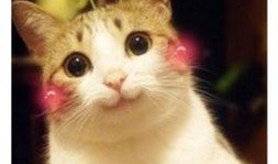 娱乐吃瓜喵a,揭秘娱乐圈那些不为人知的幕后故事