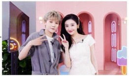 娱乐吃瓜君刘雨昕小说,揭秘娱乐圈背后的秘密与真相