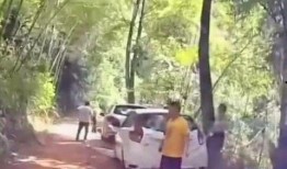 吃瓜群众出处和来源,从“吃瓜群众”起源探析网络流行语的演变轨迹