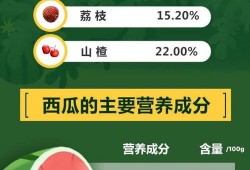 娱乐吃瓜酱省钱攻略下载,轻松解锁你的娱乐生活